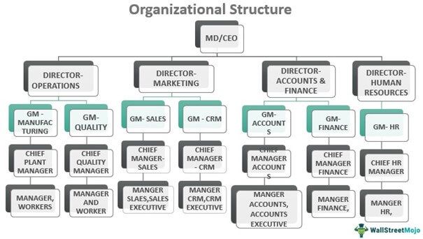 Office Setup and Organization Services Explained